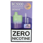 Zero Nicotina – BC5000 – Miami Mint – Elf Bar