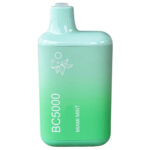 Tabacco alla menta – BC5000 – Elf Bar