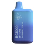 Elf Bar TE6000 – Icy Mint Summer Call
