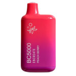 Zero Nicotina – BC5000 – Fragola Kiwi – Elf Bar