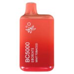 Miami Mint – BC5000 – Elf Bar