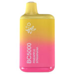 Miami Mint – BC5000 – Elf Bar