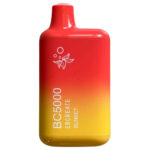 Elf Bar TE6000 – Ghiaccio all’uva