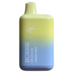 Mix di bacche (Crazi Berry) – BC5000 – Elf Bar Mix di bacche (Crazi Berry) – BC5000 – Elf Bar