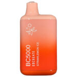 Malibu – BC5000 – Elf Bar